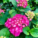 Ter Zwaanhoek Сasa de vacaciones *