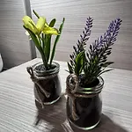 Feriehus Ter Zwaanhoek