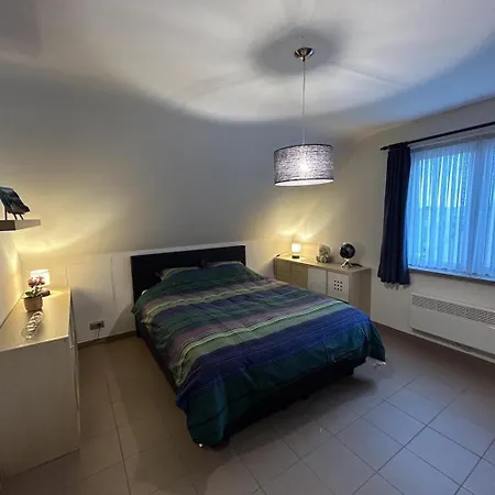 Ferienhaus Ter Zwaanhoek