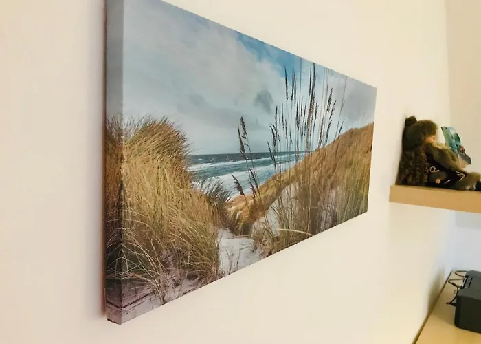 Ter Zwaanhoek * 奥斯滕德