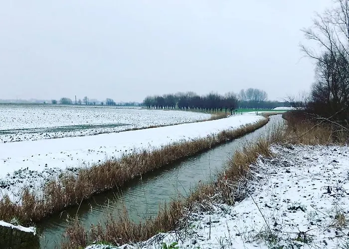 Ter Zwaanhoek * 奥斯滕德